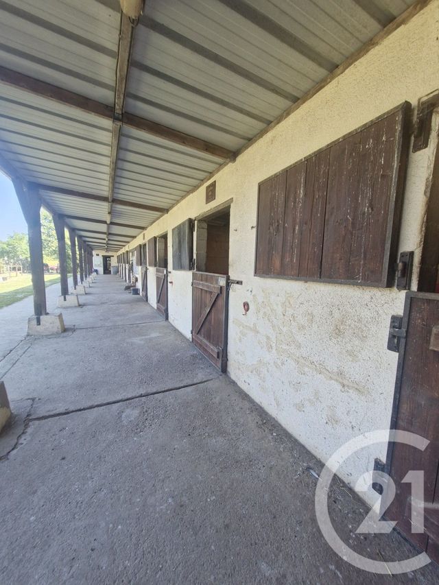 terrain à vendre - 11464.0 m2 - BLOSSEVILLE - 76 - HAUTE-NORMANDIE - Century 21 Accore
